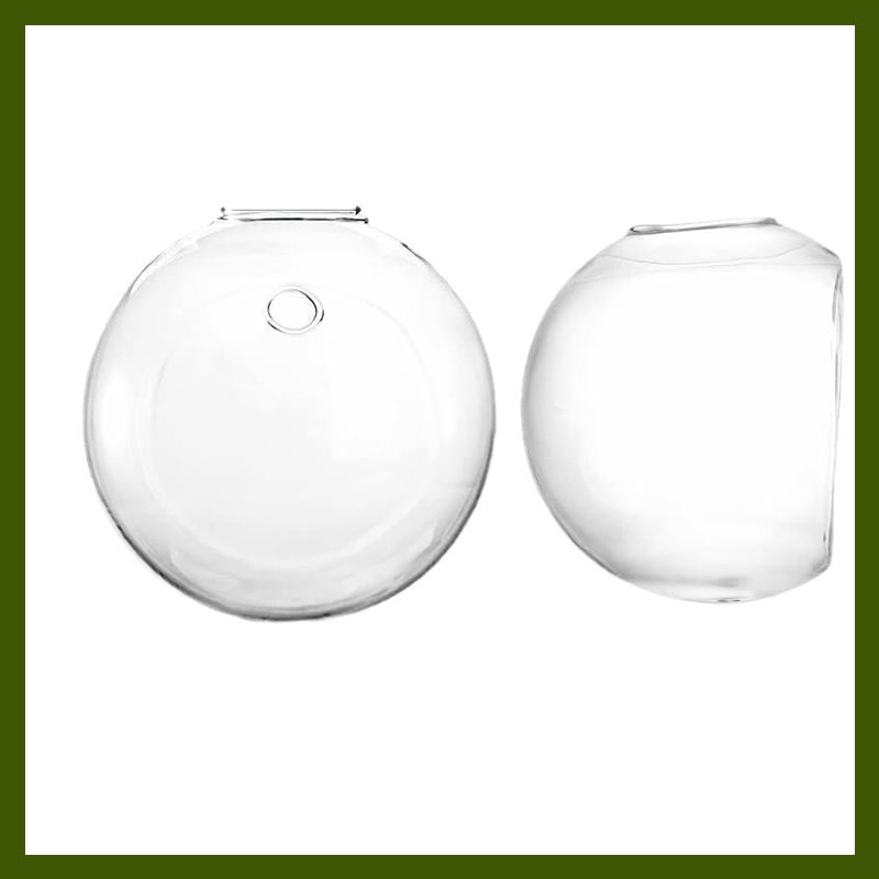 הדגישו את הצמחים שלכם על הקירות שלכם, בלי לקדוח