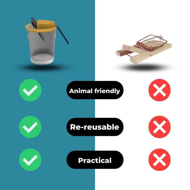 Julma ei ole myyräpyydys 