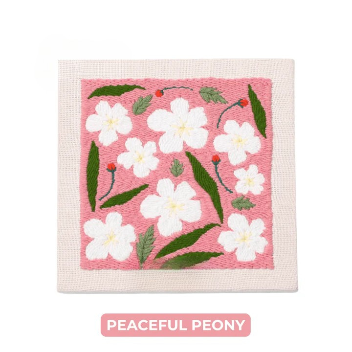 طقم تطريز إبرة اللكم 