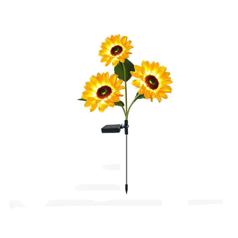 Oświetl swój ogród słonecznymi słonecznikami 