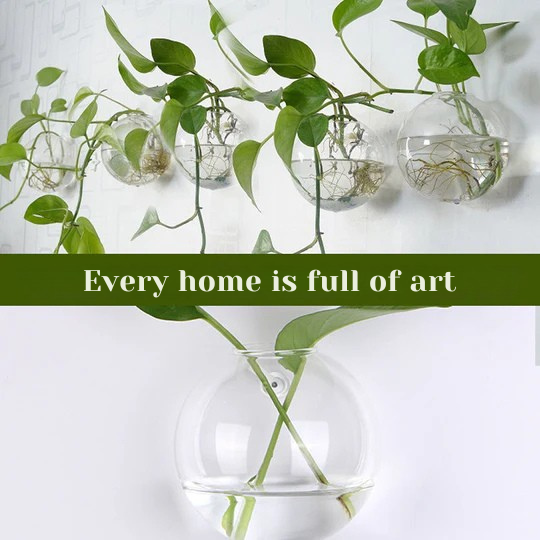 הדגישו את הצמחים שלכם על הקירות שלכם, בלי לקדוח 