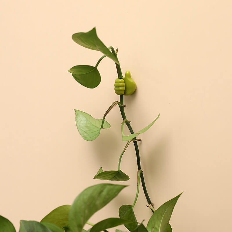 ケーブル、ブラシ、イヤフォンなどのための便利なフック (x10) 