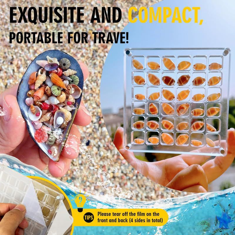 Exposez vos coquillages avec style et sécurité