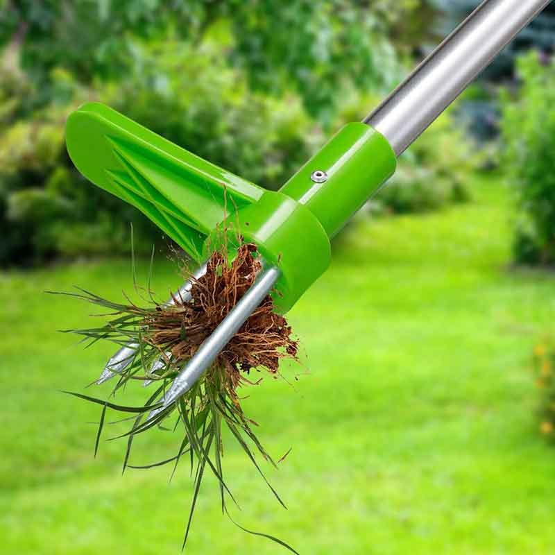 Unkrautentferner aus Stahl 